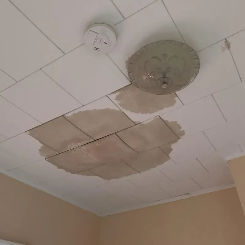 Ceiling Water Damage Repair in McComb, OH