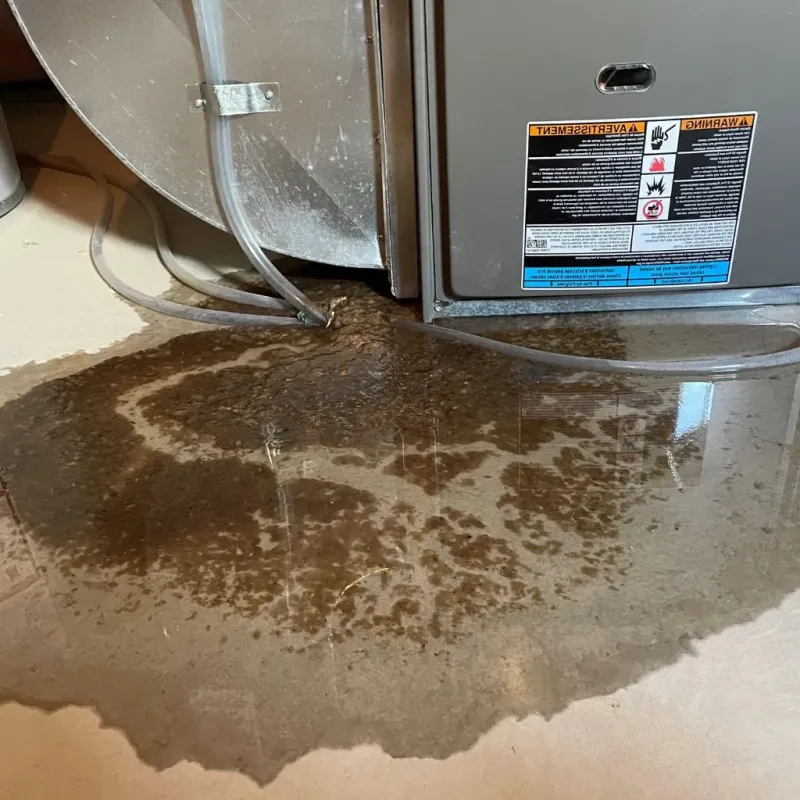 Pipe Burst and Leak Restoration in McComb, OH