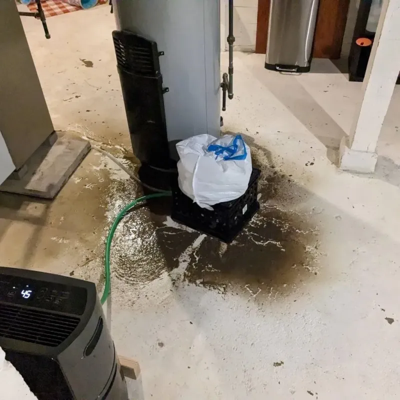Sewage Backup Cleanup Service in McComb, OH